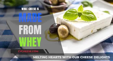 Whey-Based Cheeses: Exploring Unique, Flavorful Creations