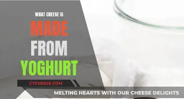 Yogurt-Based Cheeses: Exploring Their Unique Taste and Texture