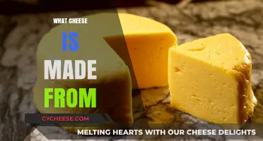 Unveiling the Origin: What Cheese is Crafted From