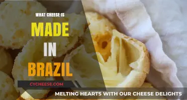 Exploring Brazil's Cheesy Delights: A Guide to Local Cheese Varieties