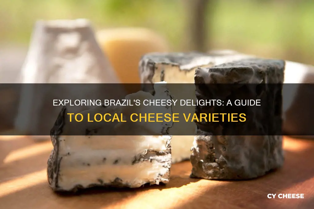 what cheese is made in brazil