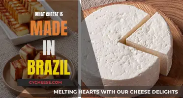 The Cheeses of Brazil: A Cultural Culinary Adventure
