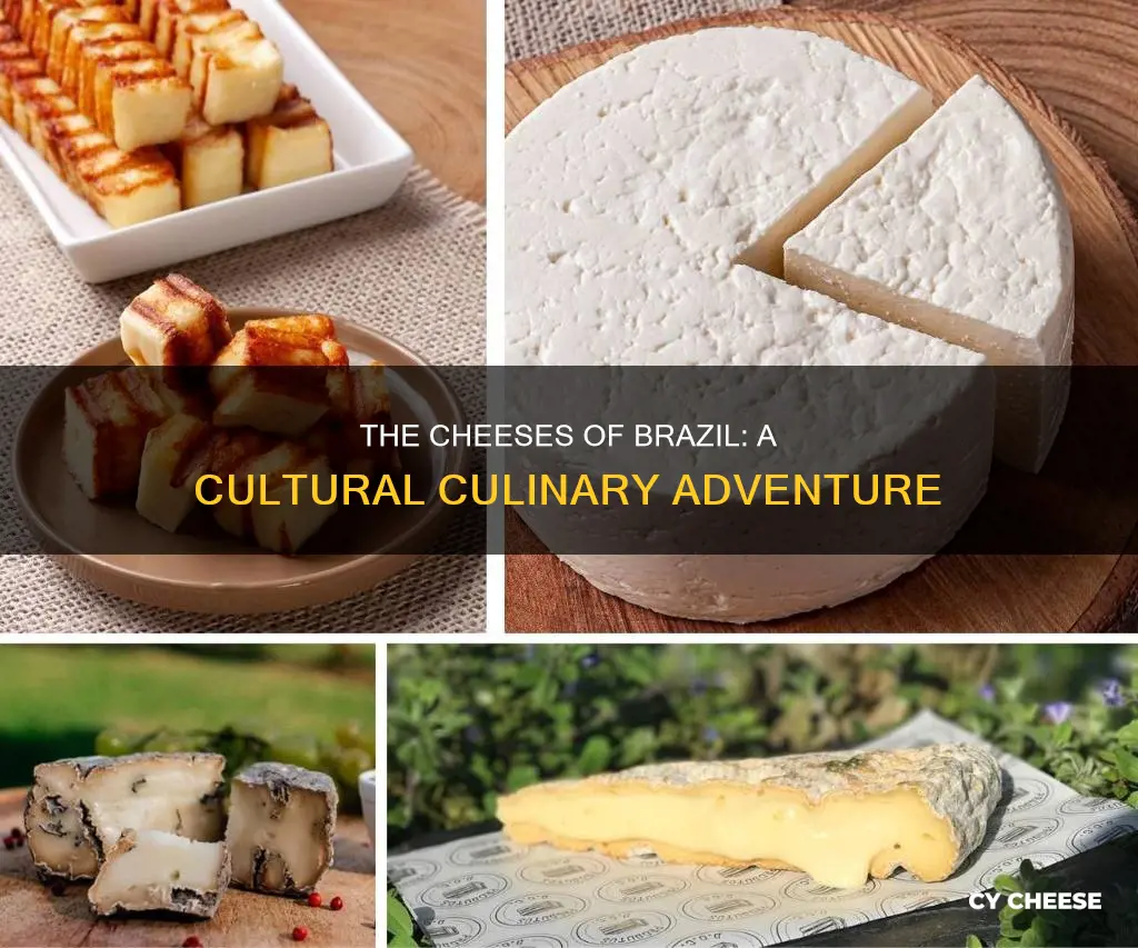 what cheese is made in brazil