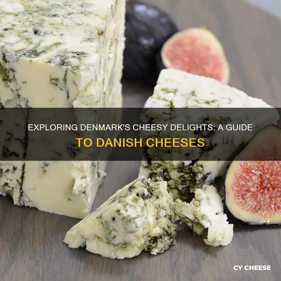 what cheese is made in denmark