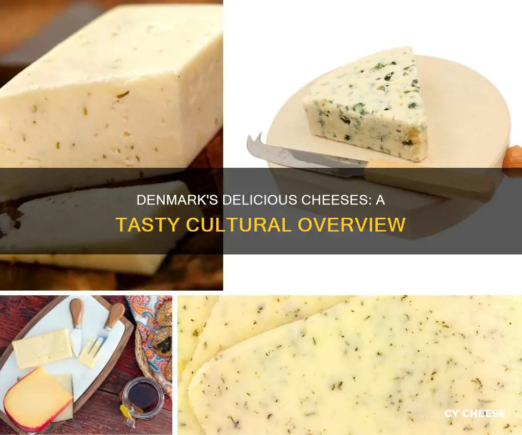 what cheese is made in denmark