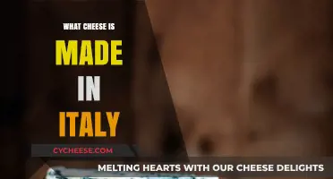 Exploring Italy's Cheesy Delights: A Guide to Traditional Italian Cheeses