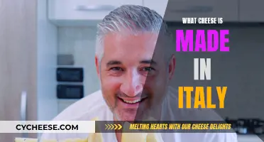 Cheese Made in Italy: A Comprehensive Guide