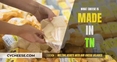 Tennessee Cheese: Local Favorites and Specialties