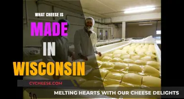 Wisconsin's Cheesy Delight: Exploring the State's Iconic Dairy Delicacies