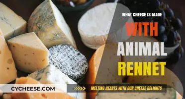 Animal-Derived Rennet: The Secret Ingredient in Cheesy Delights