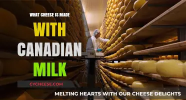 Exploring Canada's Cheesy Delights: A Guide to Canadian Milk Cheeses