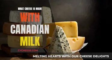 Canadian Milk Cheeses: A Guide to Varieties and Flavors