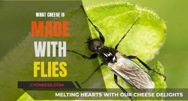 Cheese and Flies: An Unlikely Culinary Partnership