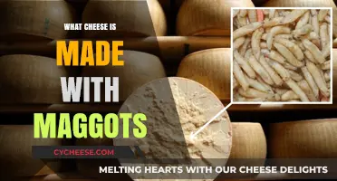 Maggots in Cheese: A Strange, Yet Delicious, Process