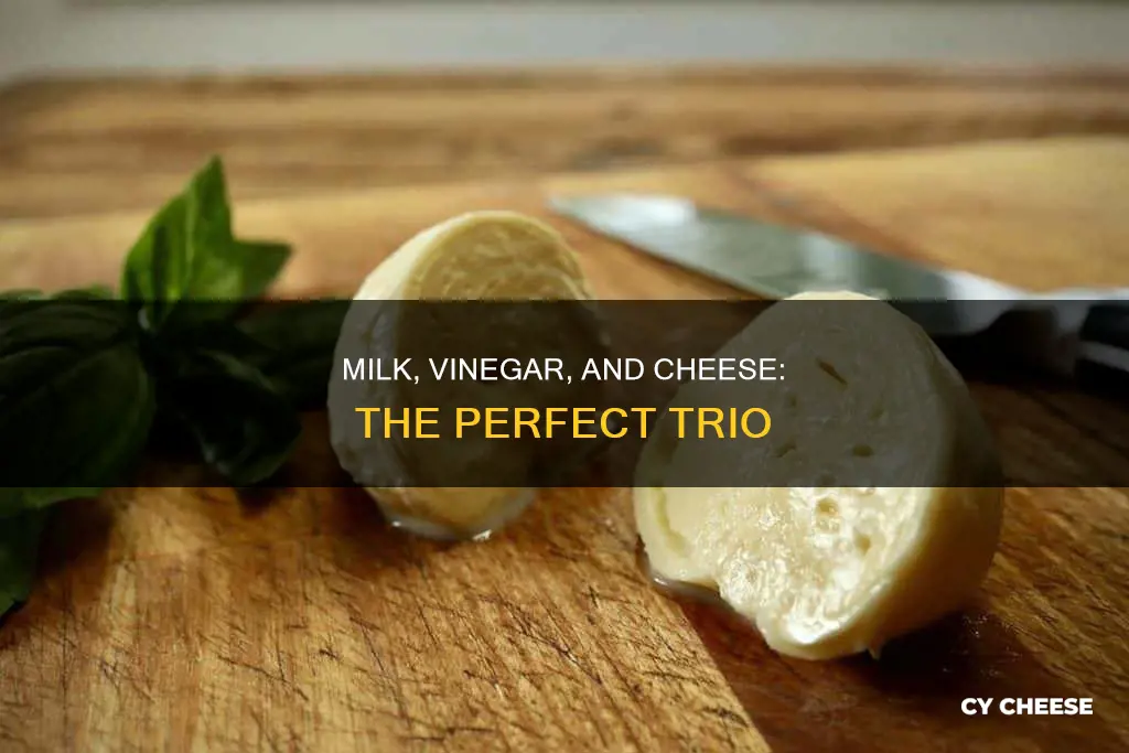 what cheese is made with milk and vinegar