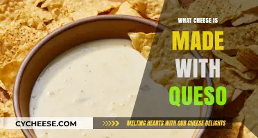 Queso's Cheesy Cousins: Exploring the World of Mexican Cheese