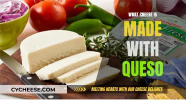 Cheese Exploration: Queso-Based Delights for Your Palate