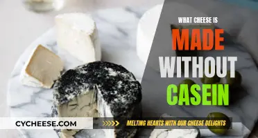 The Cheese Without Casein: A Tasty Alternative