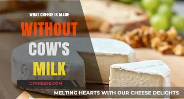 Exploring the World of Non-Dairy Cheese: A Guide to Alternatives