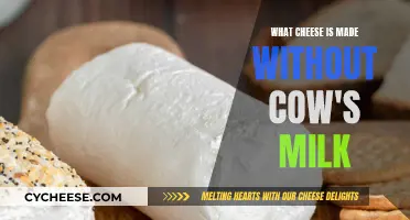 Exploring Cheeses Made Without Cow's Milk: A Delicious Adventure