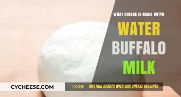 Delightful Delicacy: Exploring Water Buffalo Milk Cheese