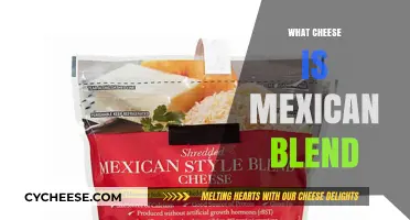 Discover the Cheesy Secret: What's in Mexican Blend Cheese?