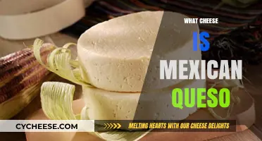 Exploring Mexican Queso: Authentic Cheese Varieties and Traditional Recipes