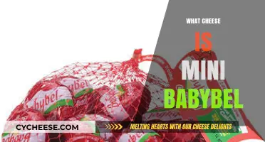 Discovering Mini Babybel: A Creamy, Bite-Sized Cheese Delight