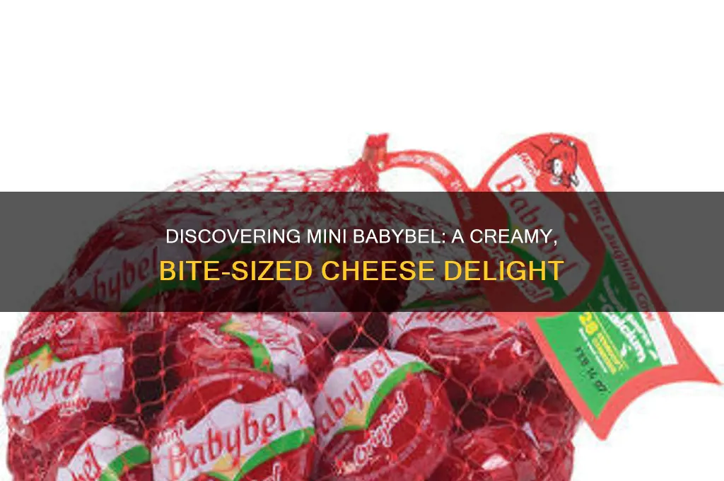 what cheese is mini babybel