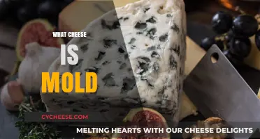 Understanding Mold in Cheese: Types, Safety, and Flavor Explained