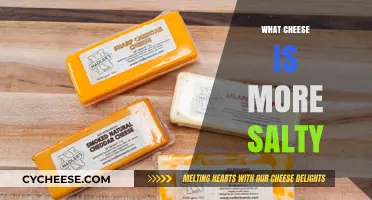 Exploring the Saltiest Cheeses: Which Varieties Pack the Most Punch?