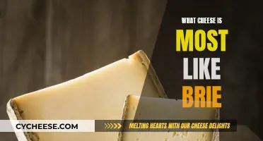 Cheese Exploration: Finding the True Brie Soulmate