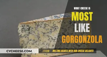 The Cheesy Cousins of Gorgonzola: A Taste Adventure