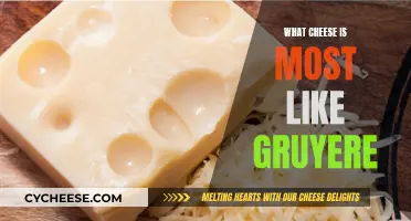 The Cheesy Cousins of Gruyere: A Taste Adventure