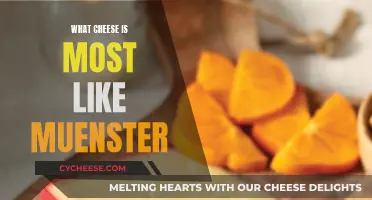 The Cheesy Cousins of Muenster: A Dairy Exploration