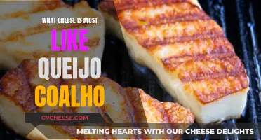 Queijo Coalho's Cheesy Cousins: Exploring Similar Cheeses