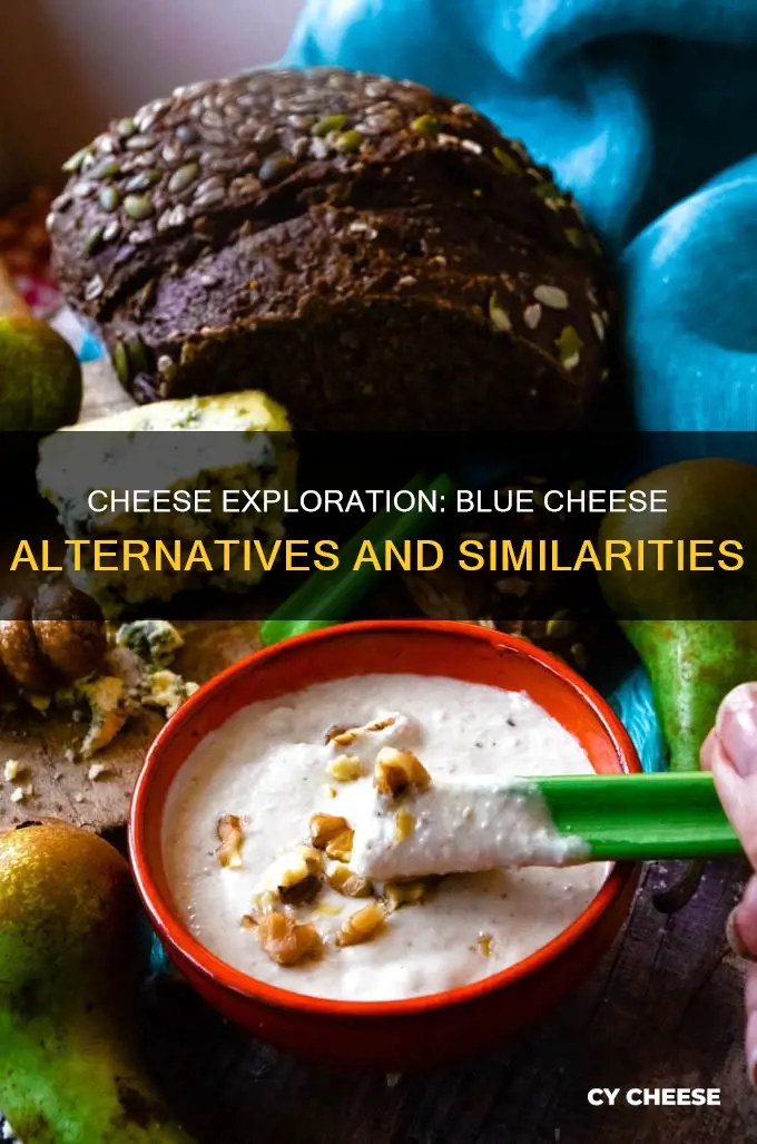 what cheese is most similar to blue cheese cheese
