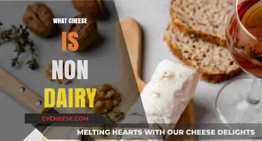 Exploring Delicious Non-Dairy Cheese Alternatives for Vegan Diets