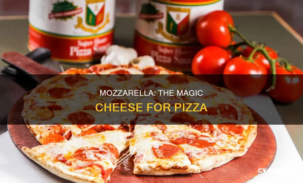 what cheese is normal pizza used