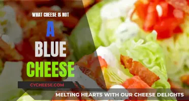 The Non-Blue Cheeses: Varieties and Flavors Explored