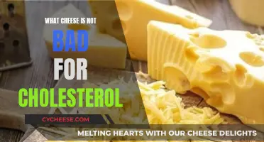 Cheese and Cholesterol: The Best Cheeses to Eat