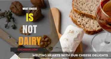 Exploring Non-Dairy Cheese Alternatives: Vegan Options for Cheese Lovers