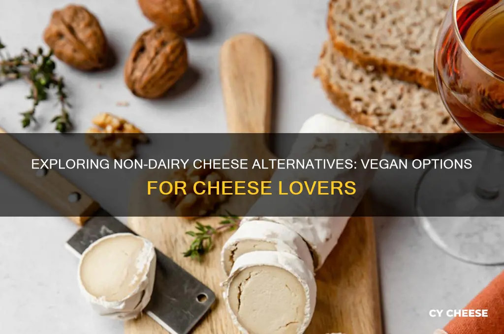 what cheese is not dairy