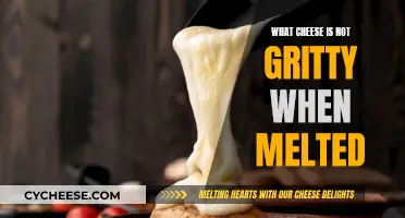 The Best Melting Cheeses: No Grit, Just Smooth Deliciousness
