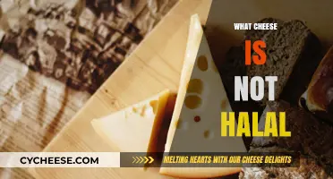 Cheese and Halal Diet: Which Varieties to Avoid and Why