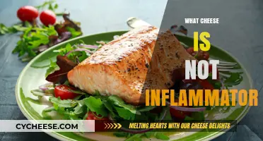 Anti-Inflammatory Cheese Guide: Top Picks for a Healthier Diet