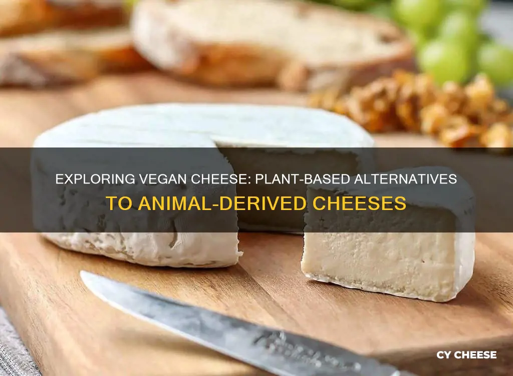 what cheese is not made from animals