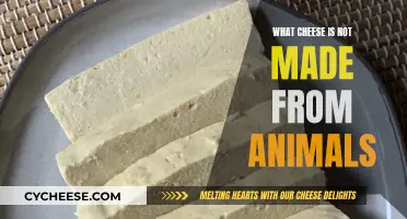Vegan Cheeses: Animal-Free Delicacies for the Dairy-Loving Connoisseur