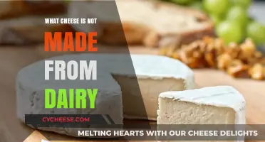 Exploring the Non-Dairy Cheese Revolution: Vegan Alternatives