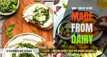 Dairy-Free Delights: Exploring Non-Dairy Cheeses and Their Flavors